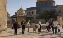 Yerleşimci işgalciler Mescid-i Aksa'ya saldırmaya devam ediyor