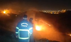 Şanlıurfa'da otluk alanda yangın
