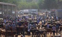 Diyarbakır'da kurban satış ve kesim yerleri belli oldu