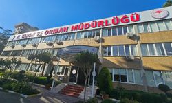 Kurbanlık seçimi ve kesiminde nelere dikkat edilmeli?