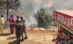 Hatay'da otluk alanda yangın