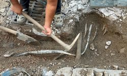 İzmir'de elektrik akımına kapılan 2 kişinin ölümüyle ilgili 20 gözaltı