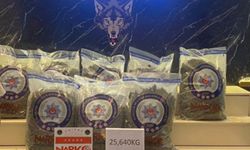 Kapıkule'de uyuşturucu operasyonu