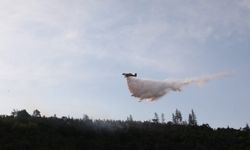 Çanakkale'de ormanlık alanda yangın
