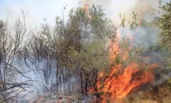 Hatay'da orman yangını çıkıyor