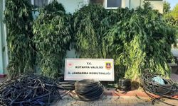 Kütahya'da uyuşturucu operasyonu: 4 gözaltı