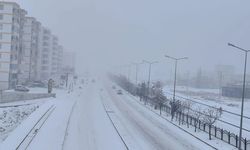 Diyarbakır’da Dondurucu Soğuk Alarmı: Don ve Buzlanmaya Dikkat