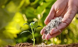 Bir yılda gübre fiyatı ne kadar yükseldi?