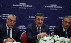 Cevdet Yılmaz: “Doğu ve Güneydoğu’ya Kalkınma İçin Pozitif Ayrımcılık Yaptık”