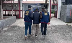 Diyarbakır’da Jandarma Operasyonu: 159 Hükümlü Yakalandı