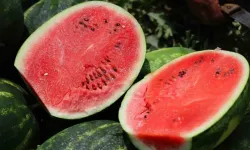 Diyarbakır Karpuzu Cep Yakıyor: Fiyatı Yüksek, Talep Yoğun