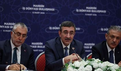 Cevdet Yılmaz: “Doğu ve Güneydoğu’ya Kalkınma İçin Pozitif Ayrımcılık Yaptık”