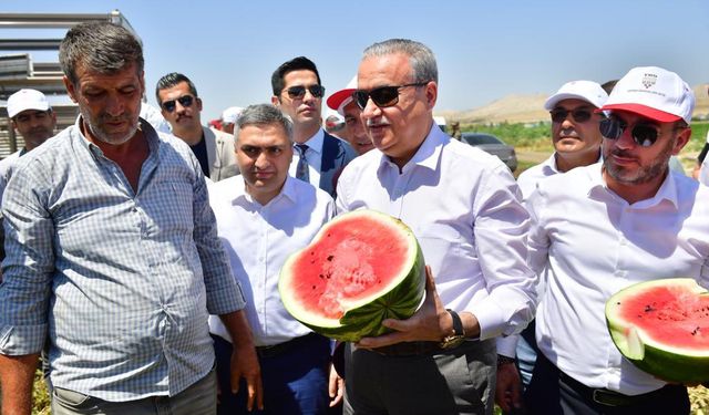 Diyarbakır Valisi Ergani'deki karpuz hasadına katıldı
