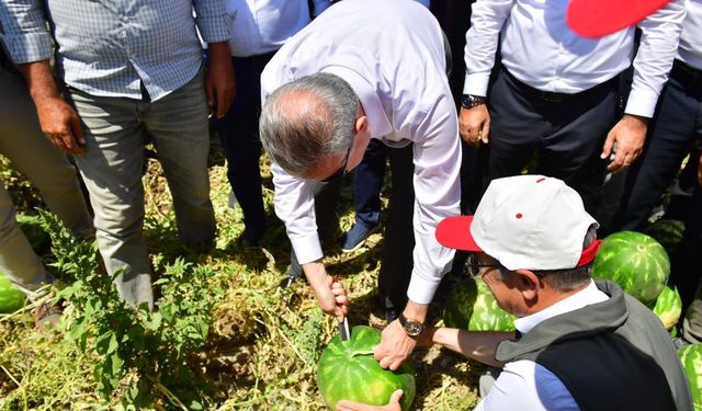 Ergani’de karpuz hasadı başladı