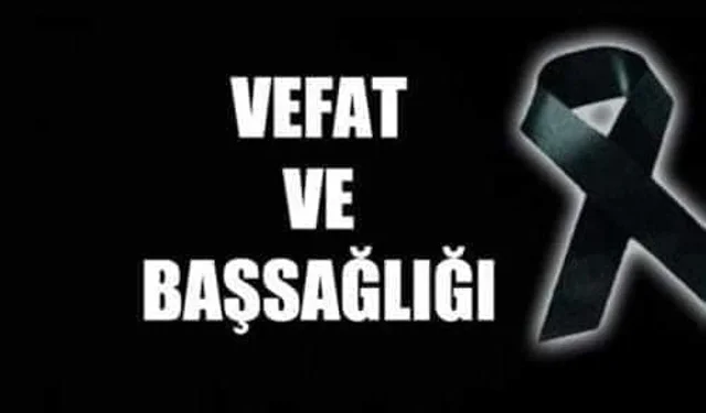 Ergani'nin Hersin köyünden MİZGİN DELAL DOLU vefat etmiştir