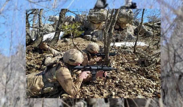 Nusaybin’de 3 PKK’lı etkisiz hale getirildi