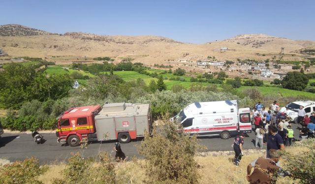 Trafik Kazası: 5 Yaralı