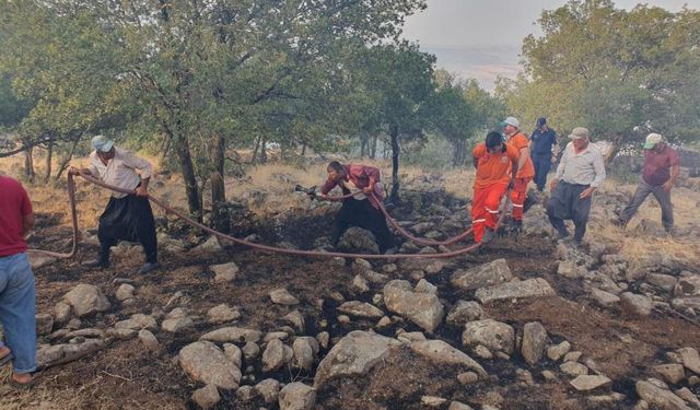 Düşen yıldırım ormanlık alanı yaktı