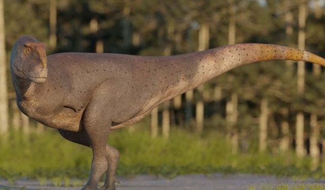 Arjantin'de yeni etçil dinozor türü keşfedildi