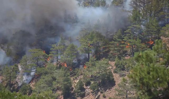 AFAD'dan Antalya için orman yangını uyarısı