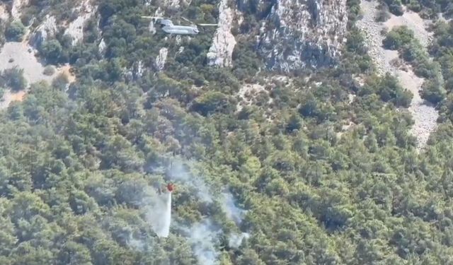 Menderes'teki orman yangını kontrol altına alındı