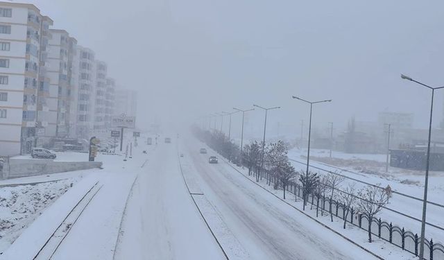 Diyarbakır’da Dondurucu Soğuk Alarmı: Don ve Buzlanmaya Dikkat