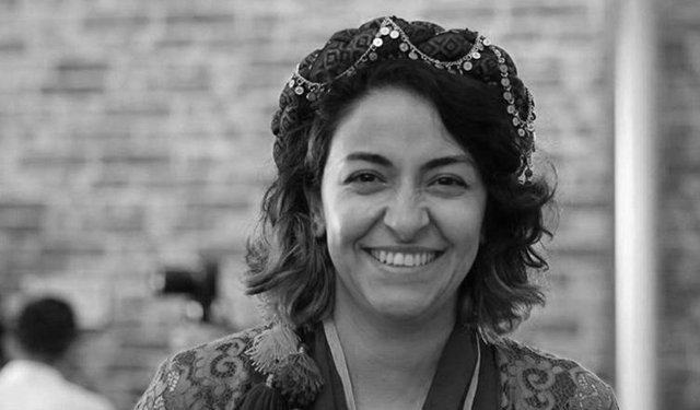 Diyarbakır'da Dilan Karaman'ın Raporu Açıklandı: Şiddet..