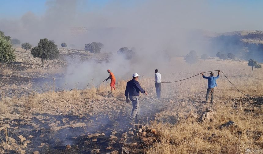 Mardin'deki yangın kontrol altına alındı