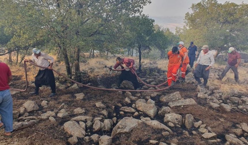 Düşen yıldırım ormanlık alanı yaktı