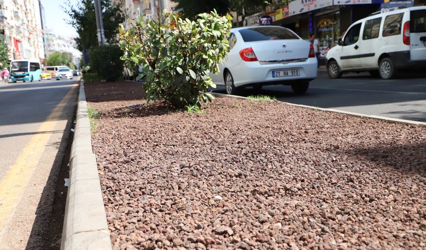 Diyarbakır'da "kuru peyzaj" ile su tasarrufu sağlandı