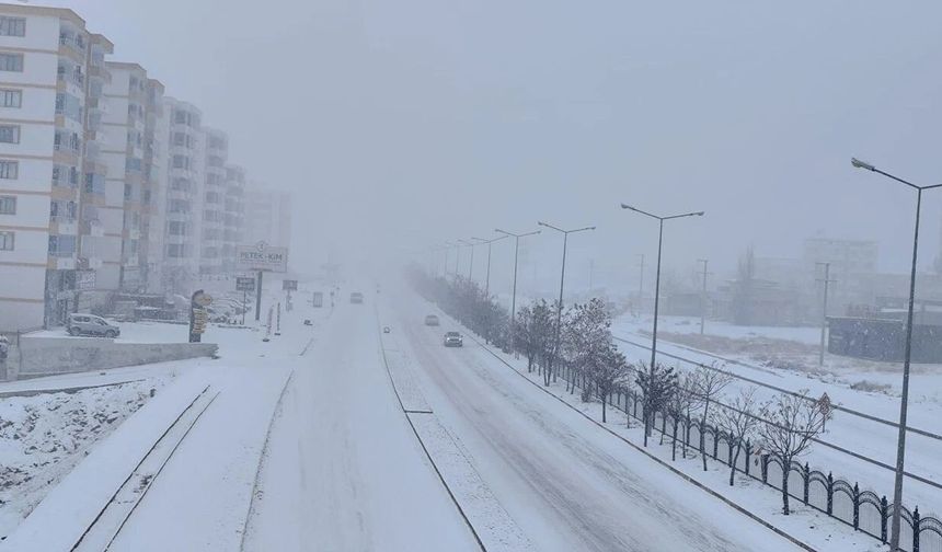 Diyarbakır’da Dondurucu Soğuk Alarmı: Don ve Buzlanmaya Dikkat
