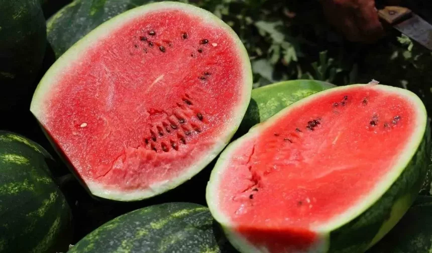 Diyarbakır Karpuzu Cep Yakıyor: Fiyatı Yüksek, Talep Yoğun